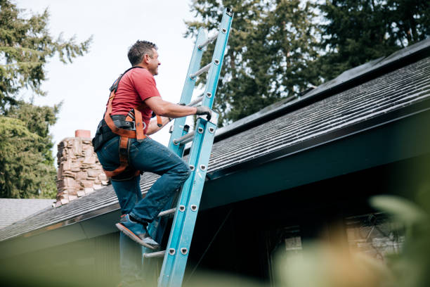 Best Asphalt Shingle Roofing  in Progress, PA